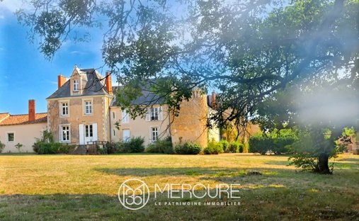 19 Th C. Chateau With Outbuildings And Pool