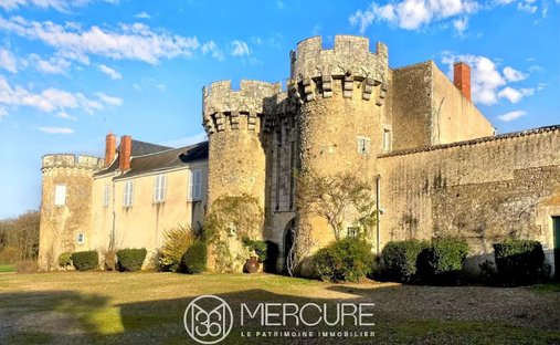 19 Th C. Chateau With Outbuildings And Pool