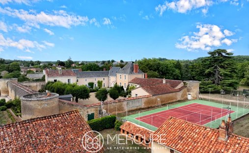 19 Th C. Chateau With Outbuildings And Pool