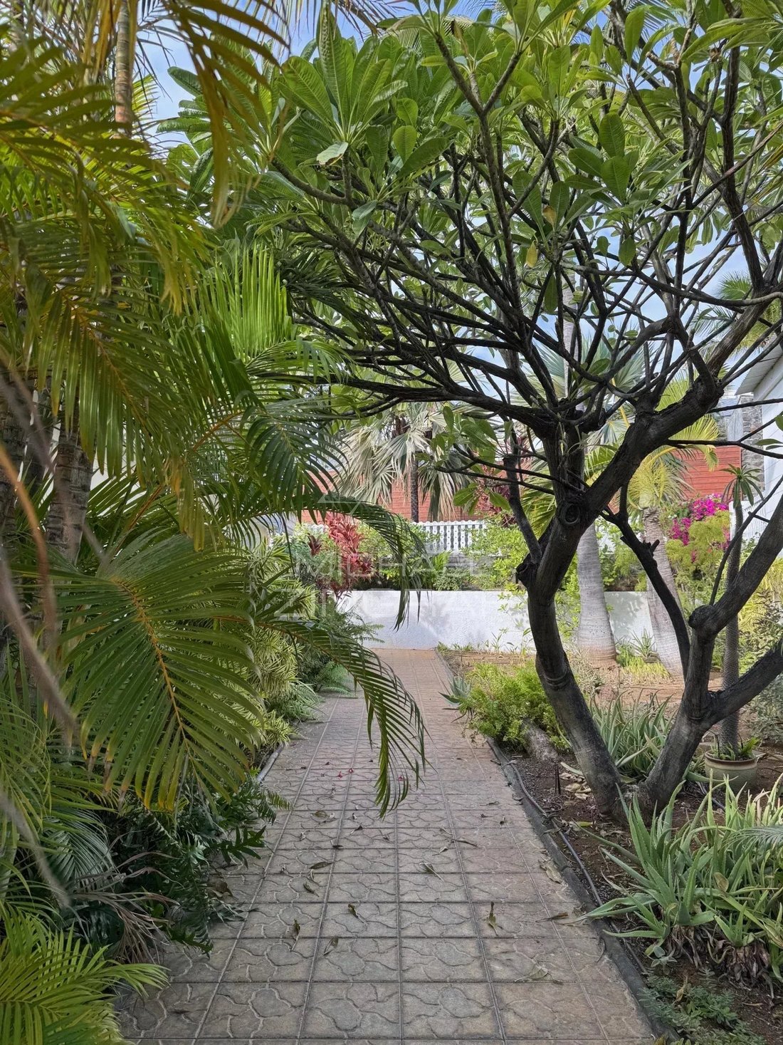 Villa in Saint Paul, Saint-Paul, Réunion 3 - 16739609