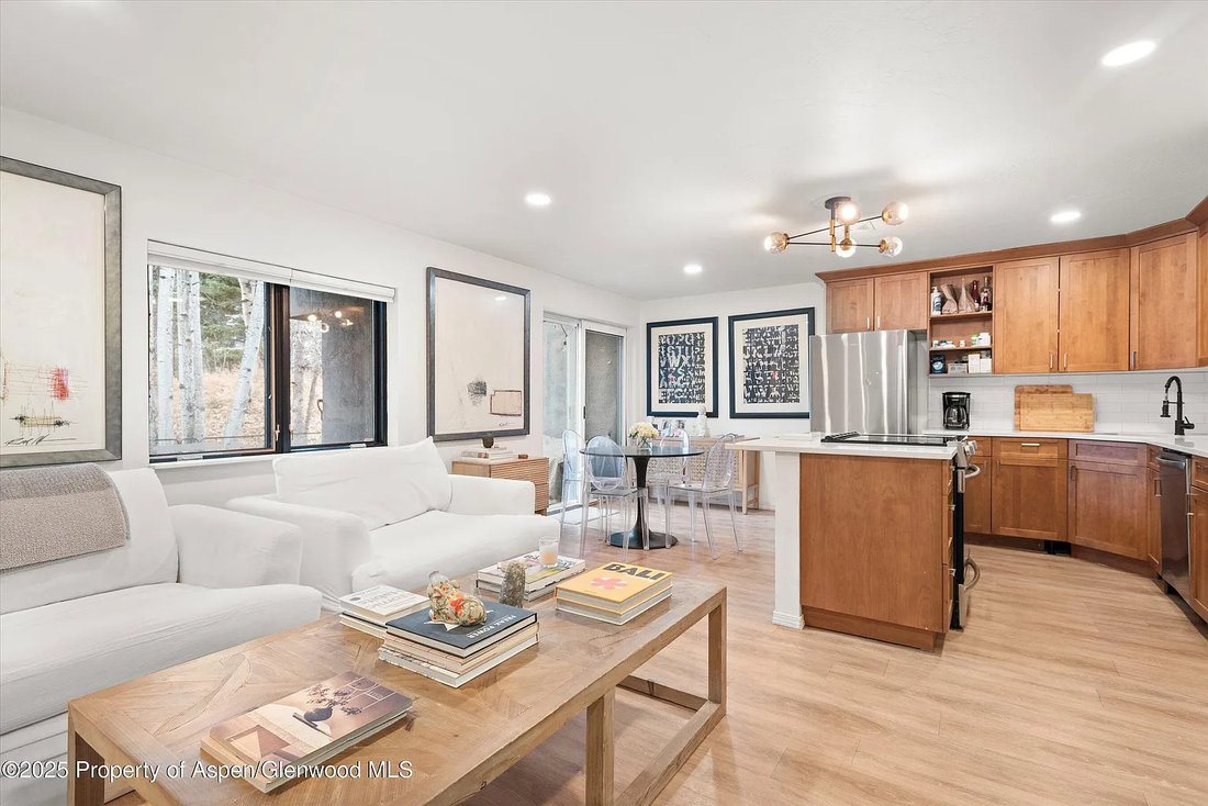 Condo in Aspen, Colorado, United States 1 - 16740832