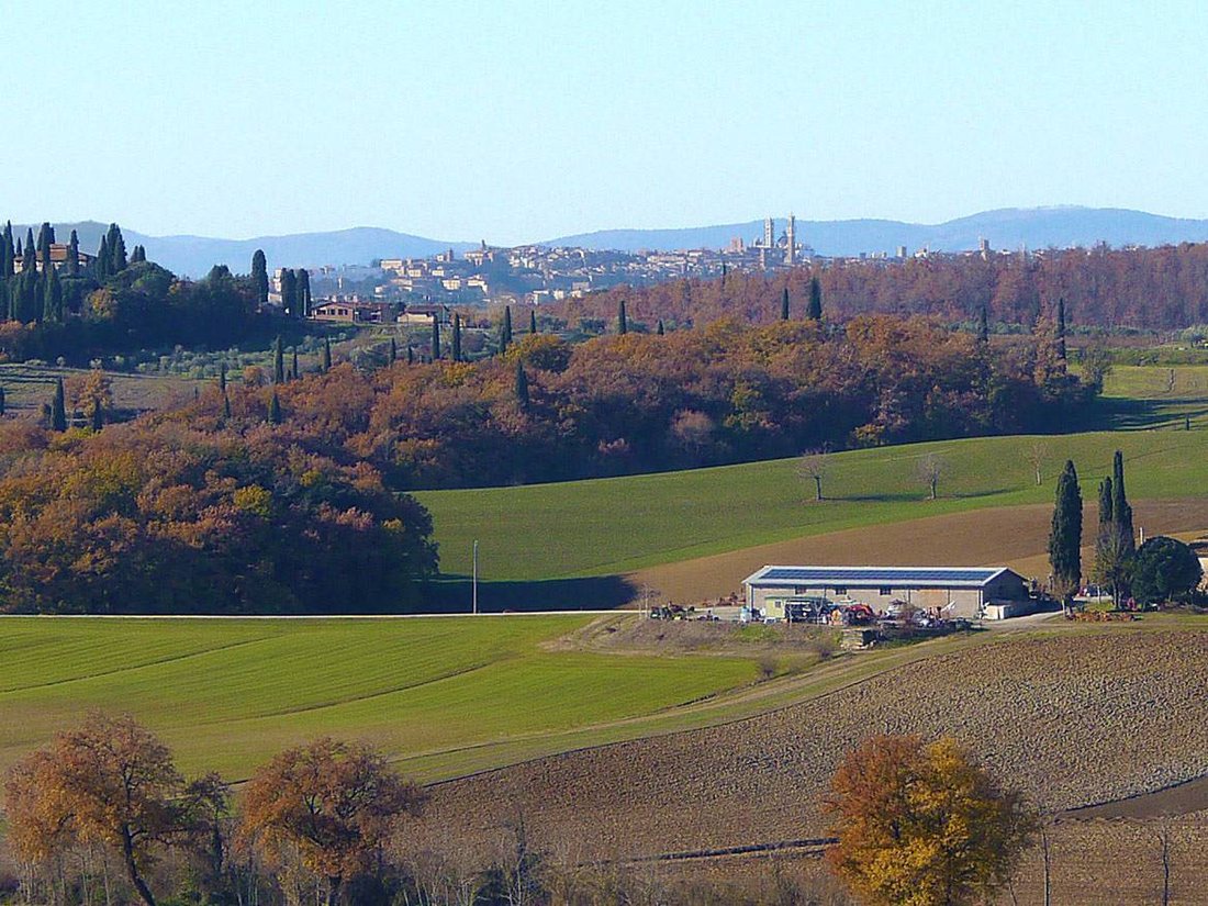 Apartment in Montaperti, Tuscany, Italy 5 - 16740367