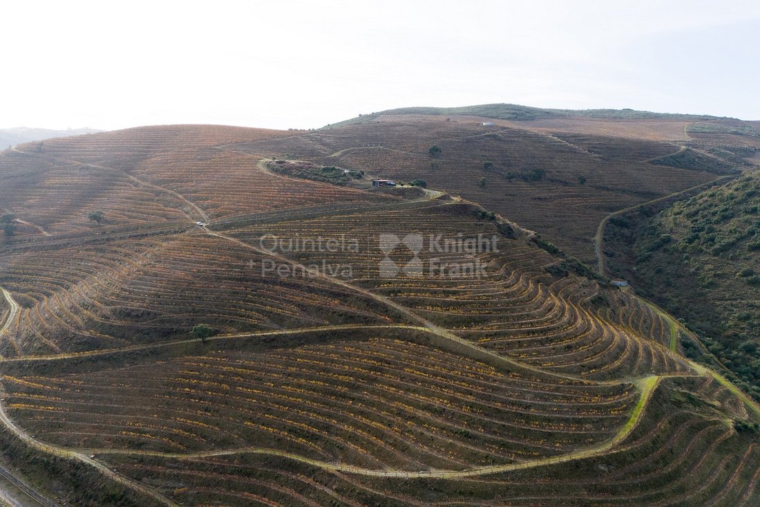 Finca in Vila Nova de Foz Coa, Guarda District, Portugal 3 - 16742762