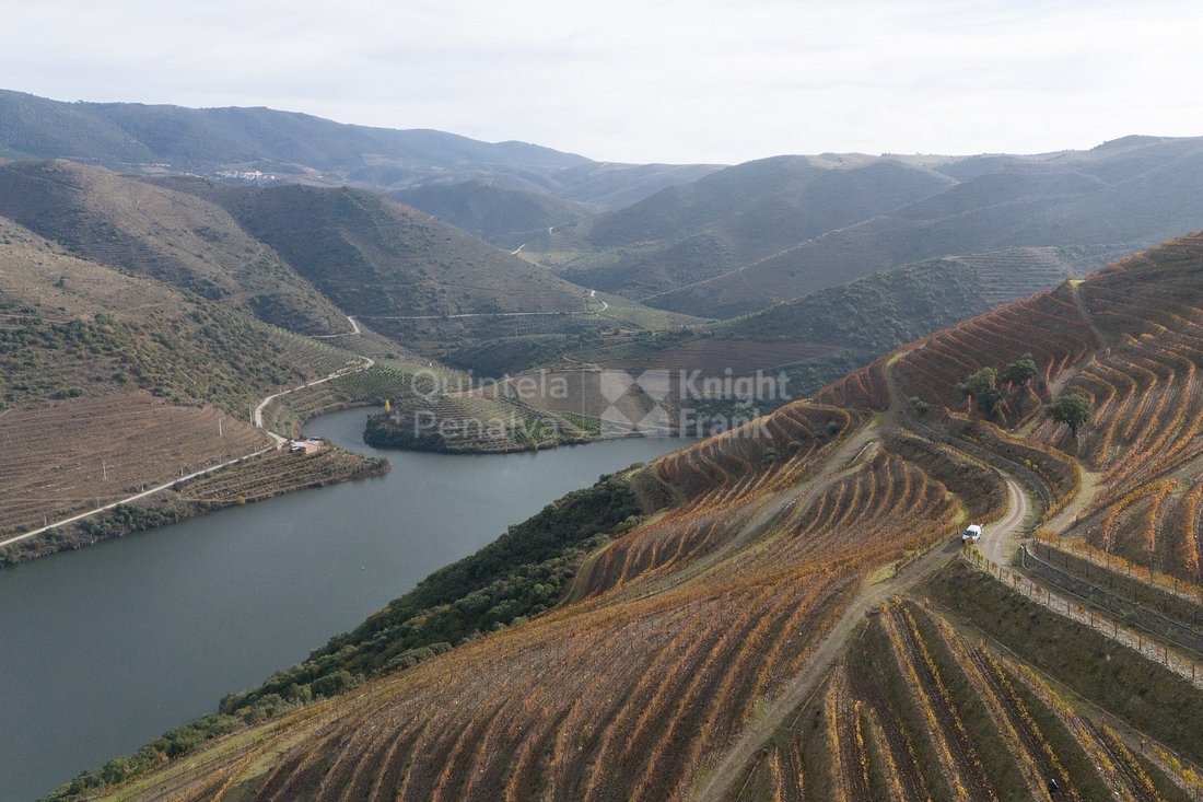 Finca in Vila Nova de Foz Coa, Guarda District, Portugal 2 - 16742762