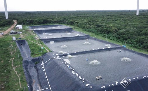 Finca in Trairi, State of Ceará, Brazil 1