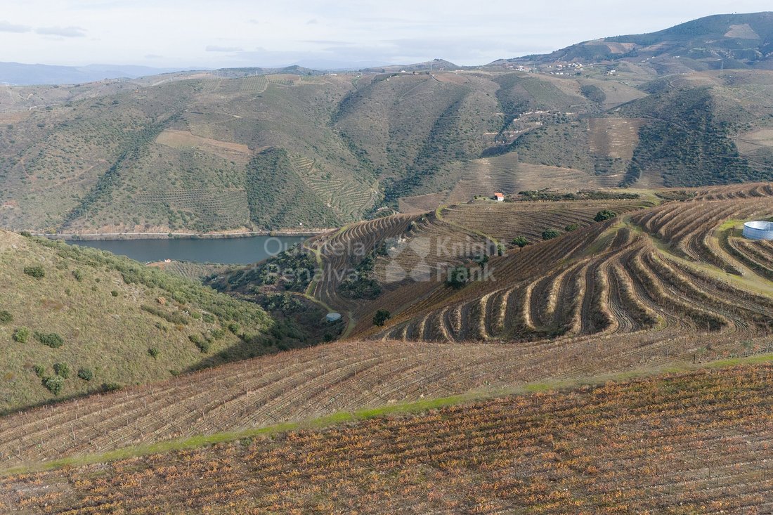 Finca in Vila Nova de Foz Coa, Guarda District, Portugal 5 - 16742762