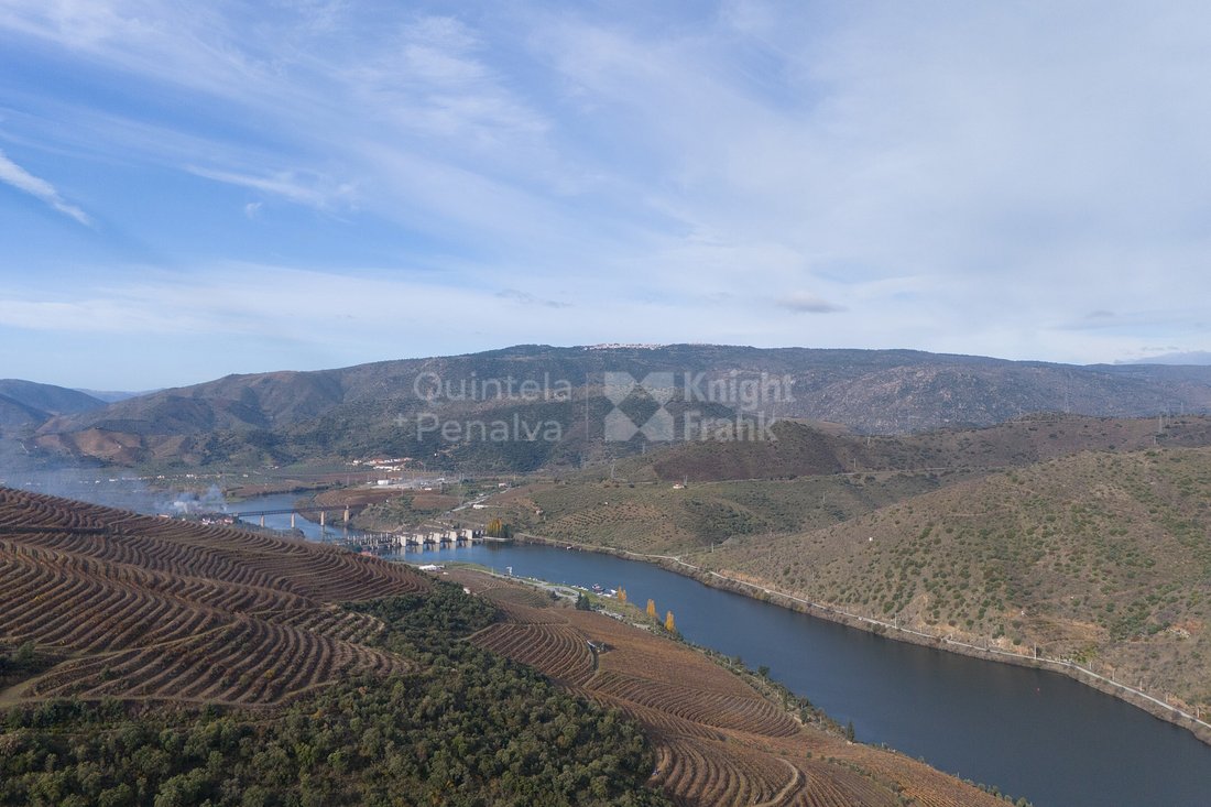 Finca in Vila Nova de Foz Coa, Guarda District, Portugal 1 - 16742762