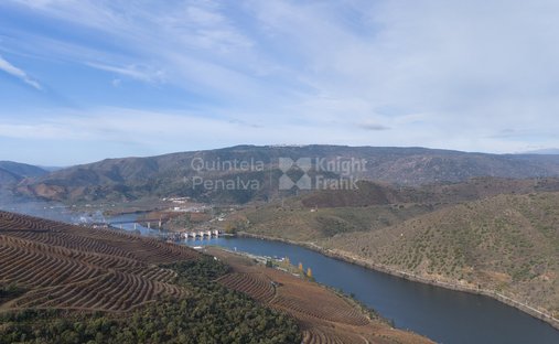 Finca a Vila Nova de Foz Côa, Distretto di Guarda, Portogallo 1