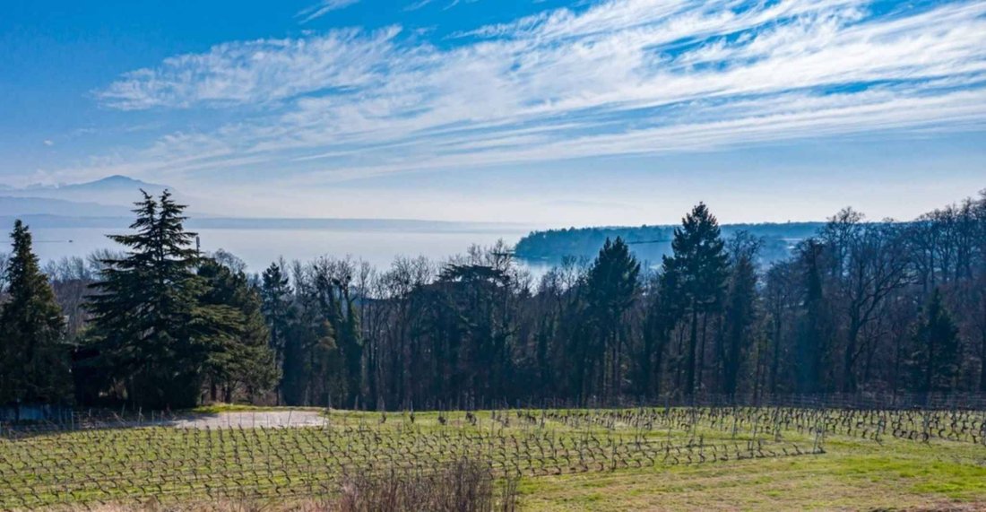 Villa in Dully, Waadt, Schweiz 1 - 15458132