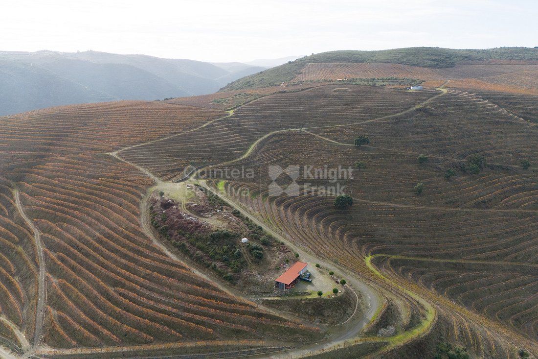 Finca in Vila Nova de Foz Coa, Guarda District, Portugal 4 - 16742762