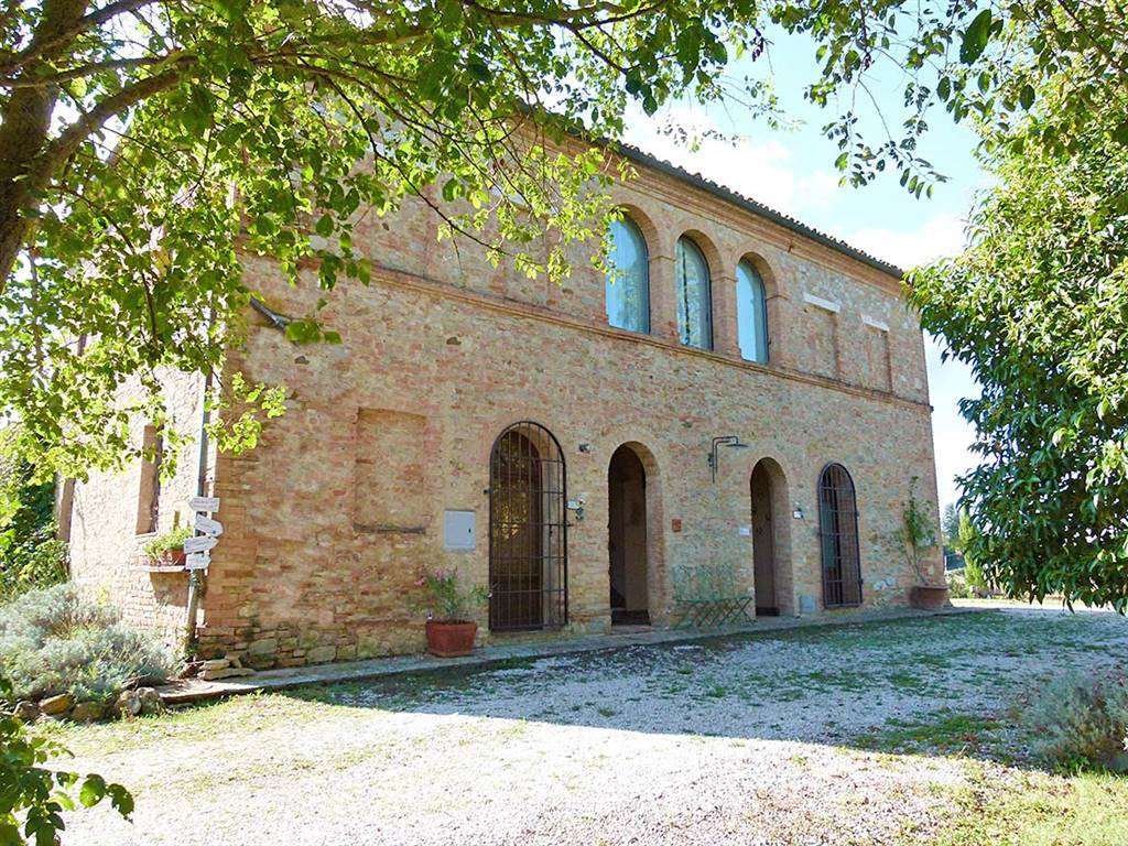 Buonconvento, Tuscany, Italy 5 - 16740354