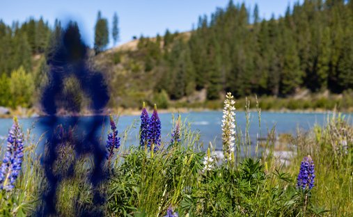 Land in Twizel, Canterbury, Neuseeland 1