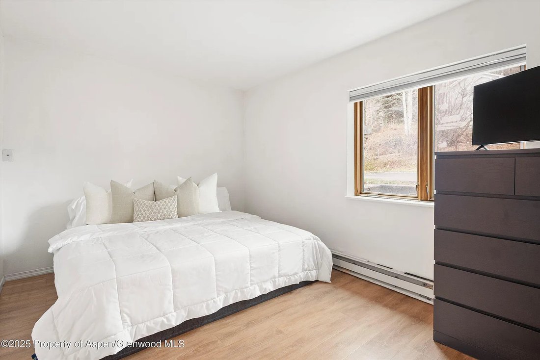 Condo in Aspen, Colorado, United States 3 - 16740832