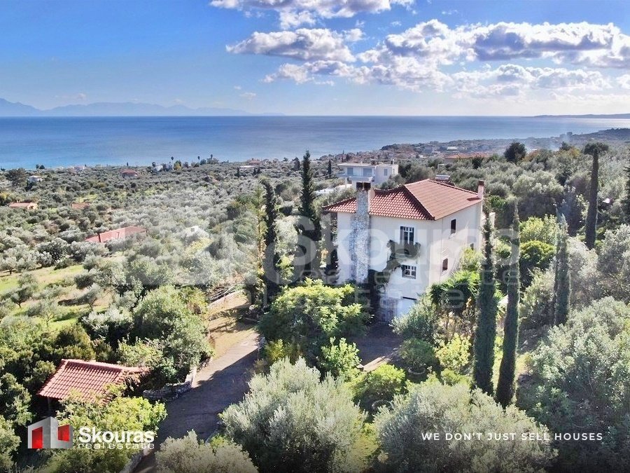 House in Messini, Peloponnese, Western Greece and the Ionian, Greece 1 - 16727656