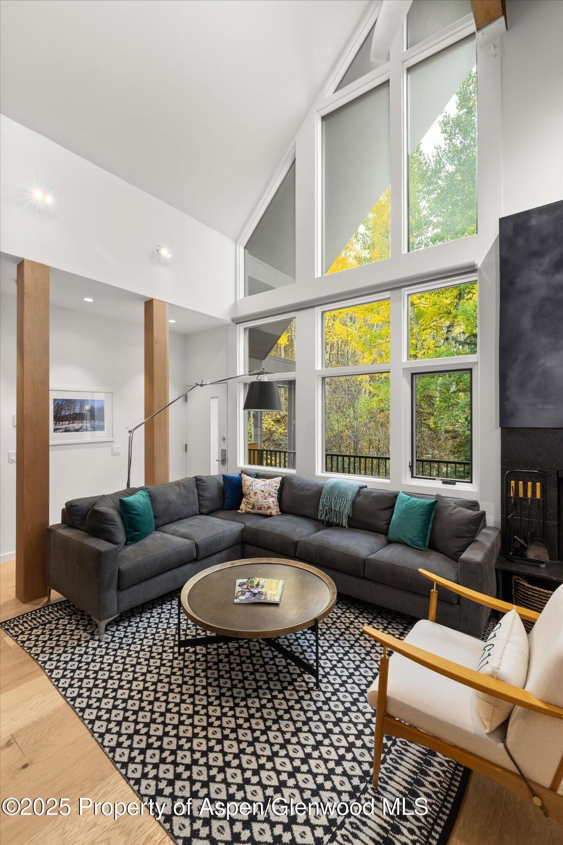 House in Aspen, Colorado, United States 4 - 16487709