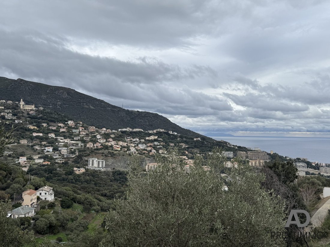Villa in San-Martino-di-Lota, Corsica, France 2 - 16743168