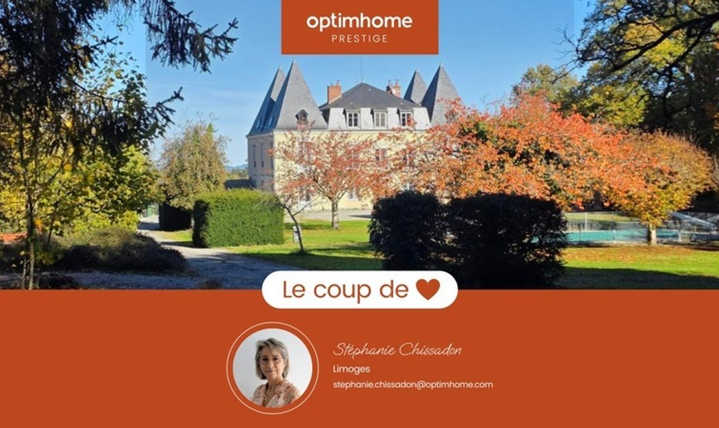 Castle for Sale in Châteauneuf-la-Forêt, Nouvelle-Aquitaine, France