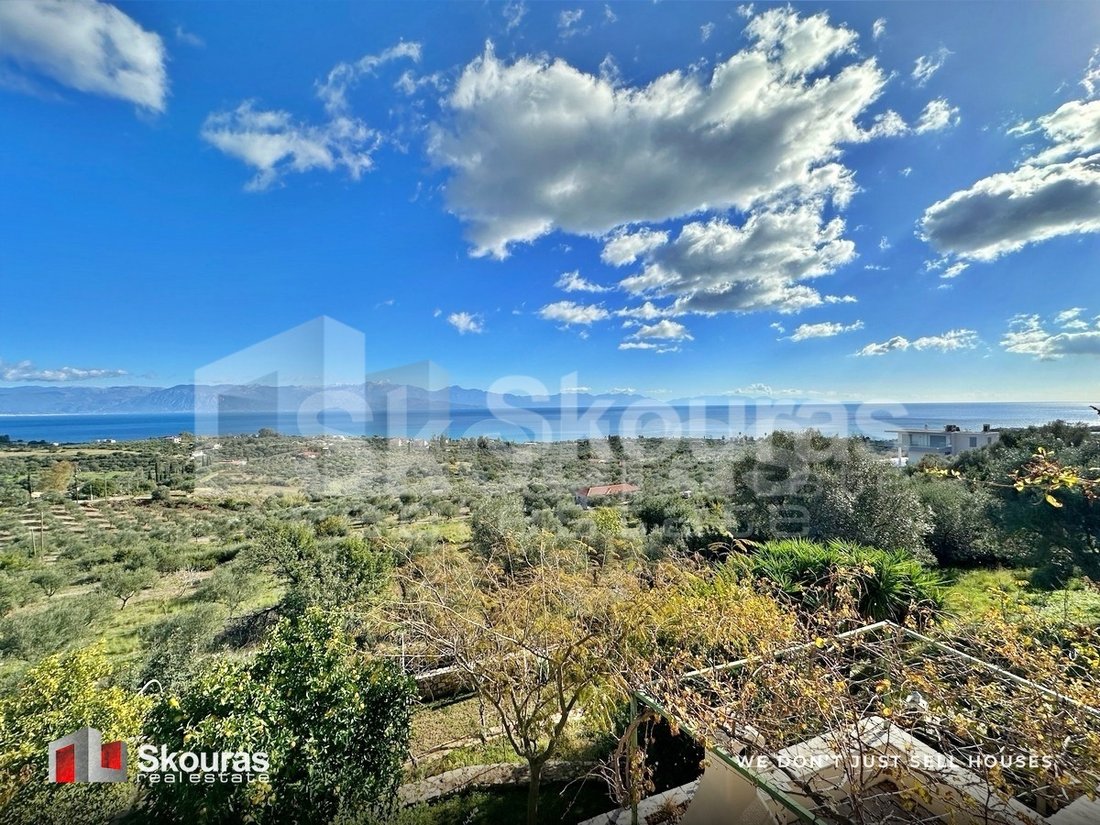 House in Messini, Peloponnese, Western Greece and the Ionian, Greece 3 - 16727656