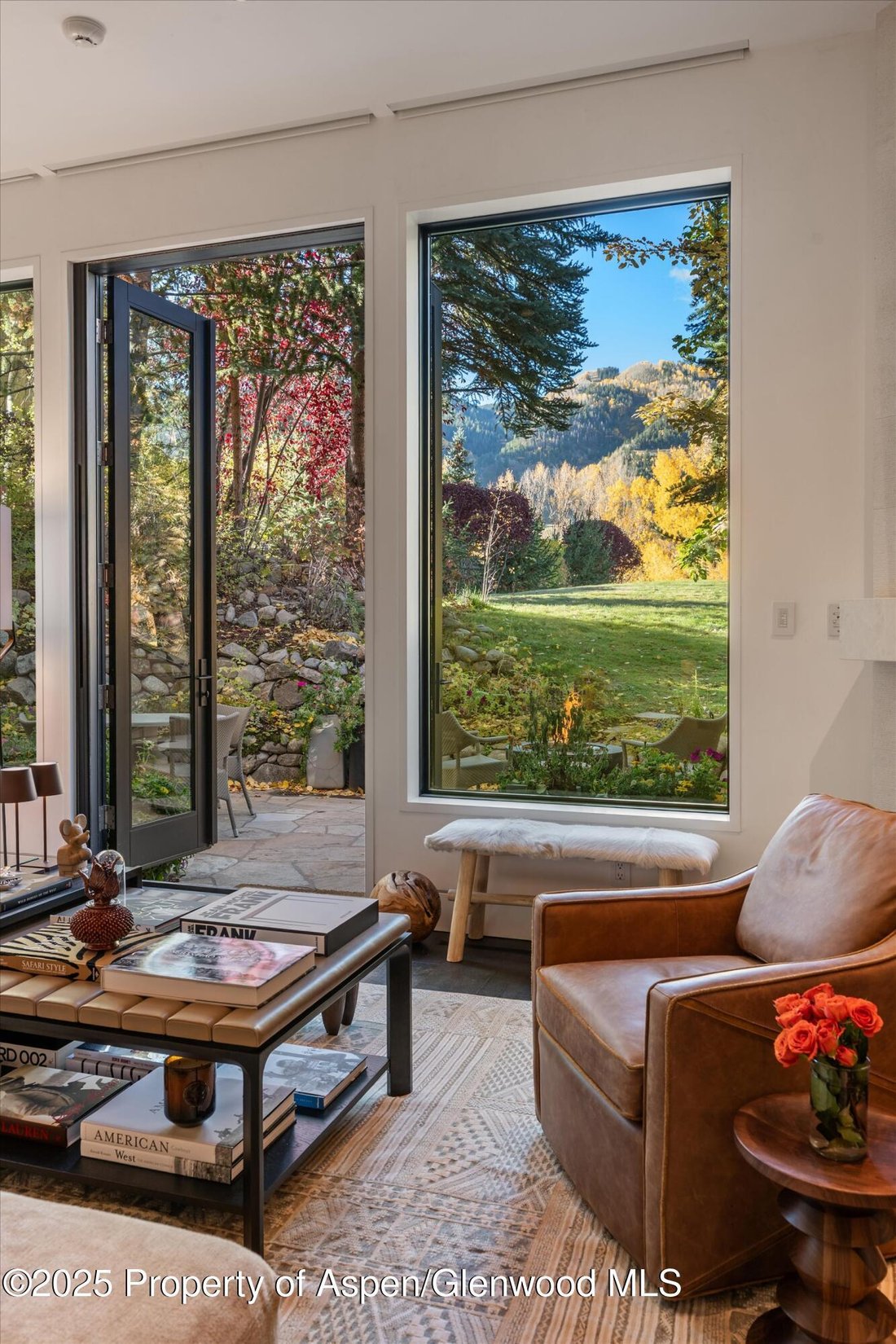 House in Aspen, Colorado, United States 4 - 16669589