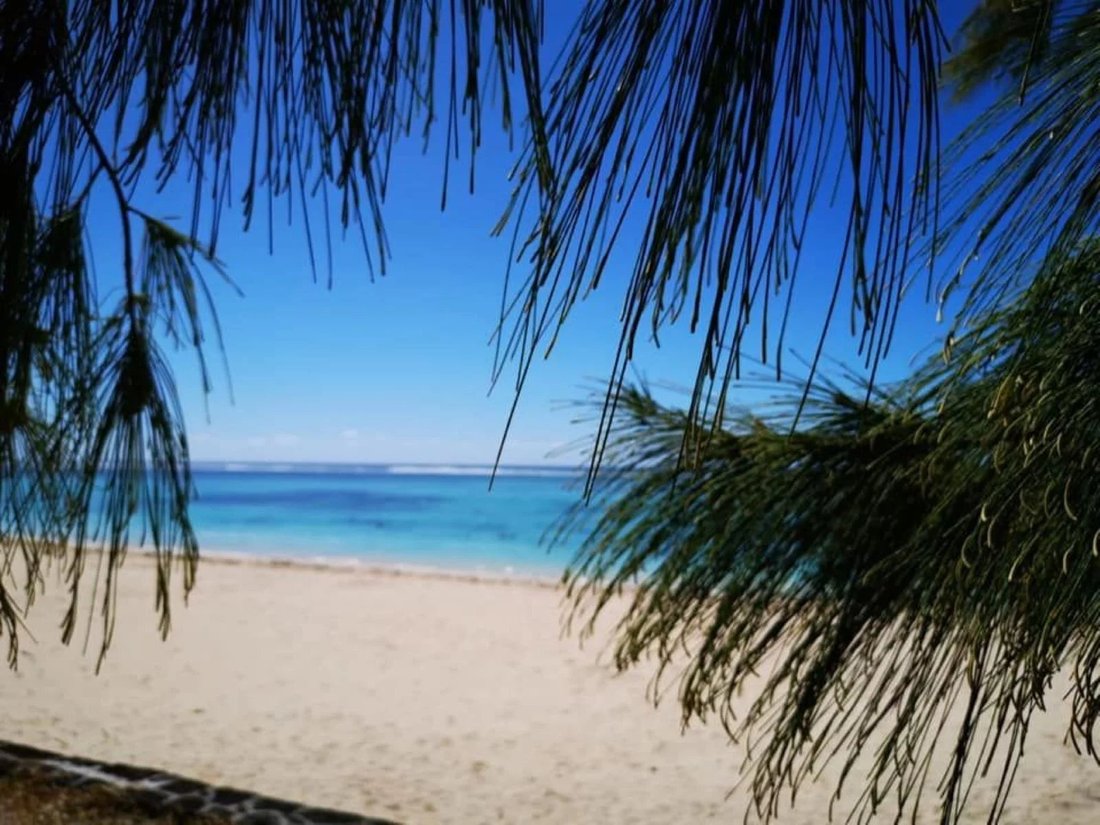 Villa in Quatre Cocos, Flacq District, Mauritius 2 - 16743886