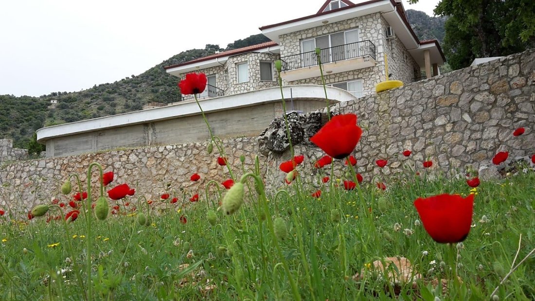 Villa in Bozyer, Muğla, Turkey 3 - 16743904