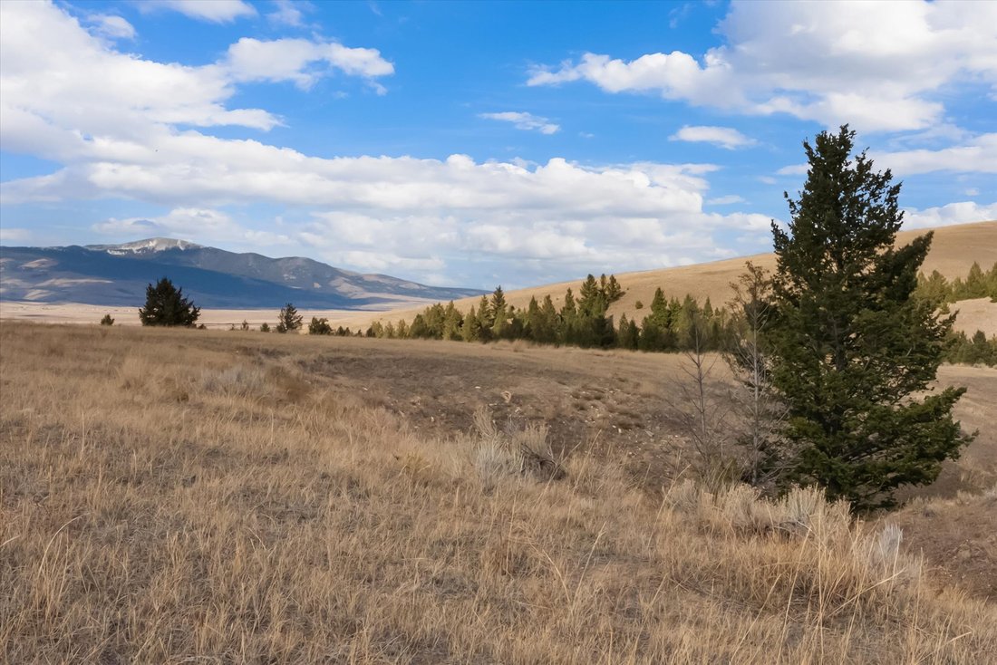 Farm Ranch in Anaconda, Montana, United States 2 - 16744687