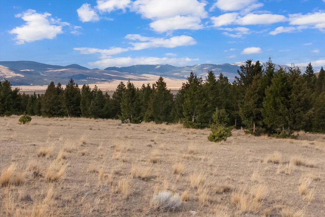 Farm Ranch in Anaconda, Montana, United States 1 - 16744687