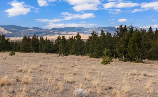 Farm Ranch in Anaconda, Montana, United States 1