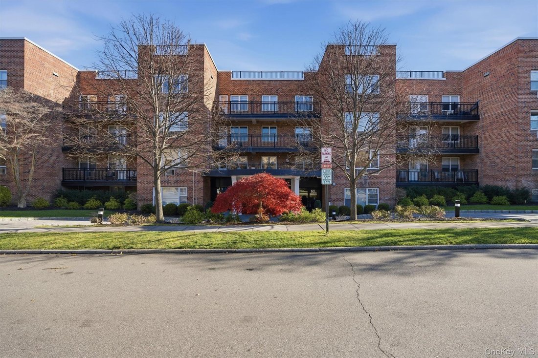Co Op in Great Neck, New York, United States 1 - 16745365