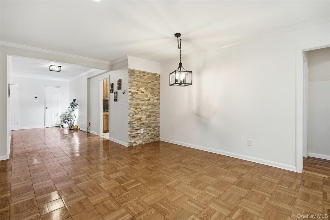 Co Op in Great Neck, New York, United States 4 - 16745365