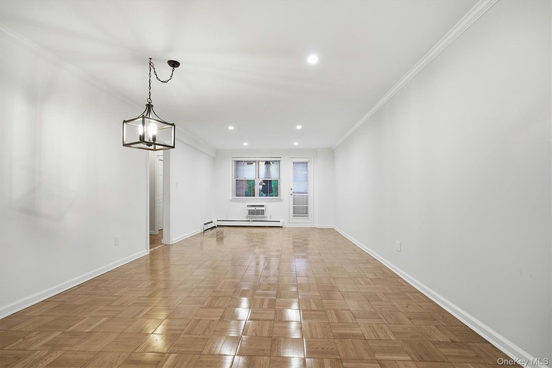 Co Op in Great Neck, New York, United States 5 - 16745365