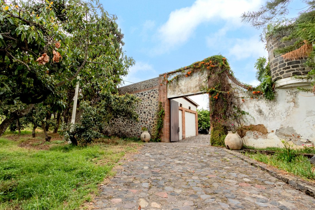 Farm Ranch in San Juan Ocotepec, Puebla, Mexico 1 - 16745341