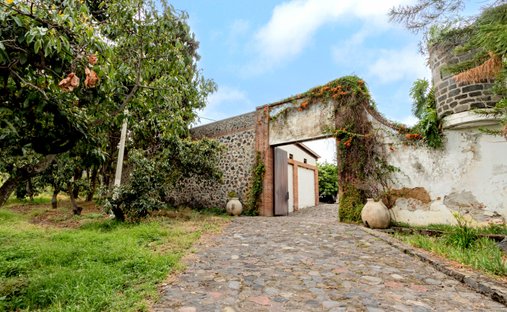 Farm Ranch in San Juan Ocotepec, Puebla, Mexico 1