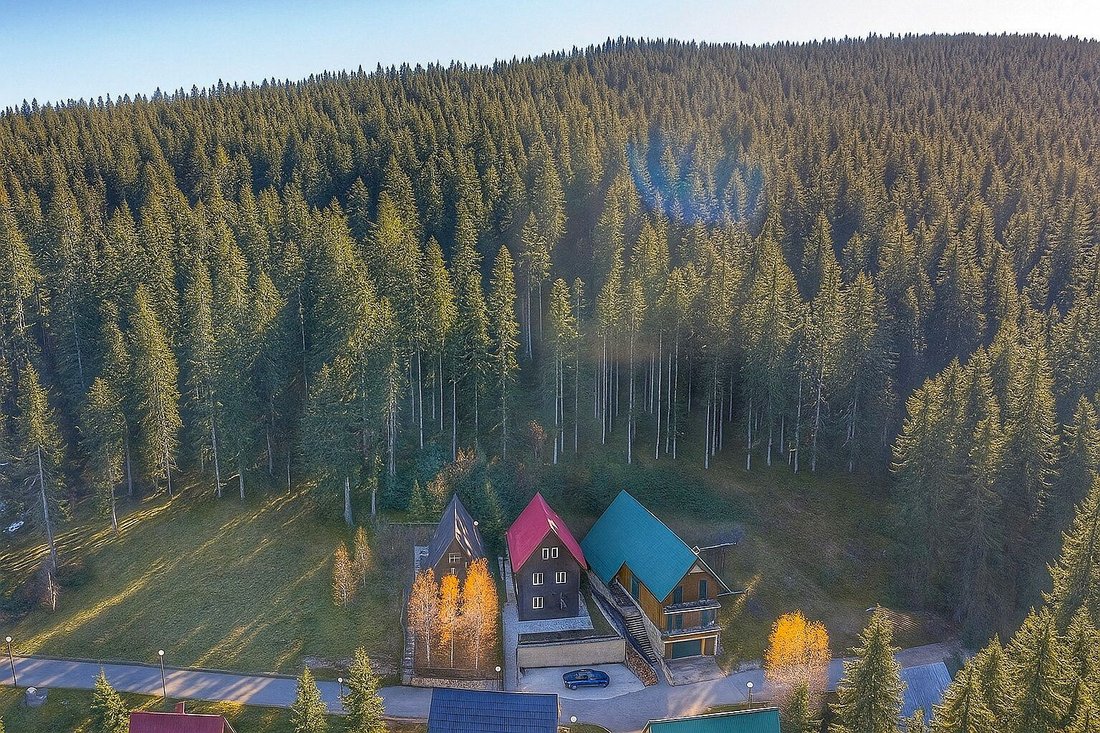 Chalet in Žabljak, Žabljak Municipality, Montenegro 2 - 16745411