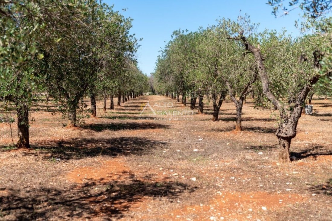 Villa a Via Ludovico - Corso Umberto I - Vittorio Emanuele, Ostuni, Puglia 5 - 16745706