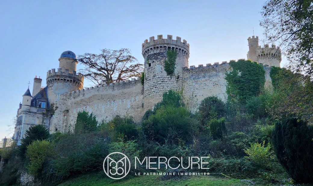 Castle for Sale in Veauce, Auvergne-Rhône-Alpes, France