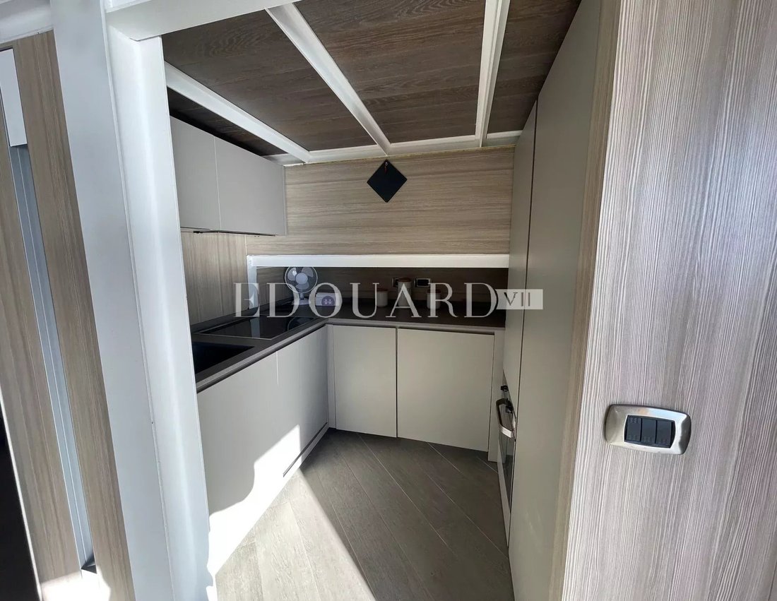 Apartment in Cabbe-Saint Roman, Roquebrune-Cap-Martin, France 4 - 16745736