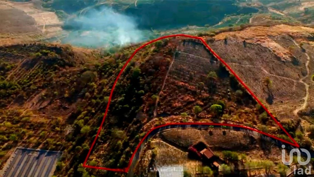 Land in Tequila, Jalisco, Mexico 2 - 16746119