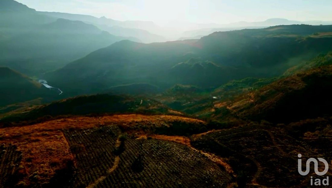 Land in Tequila, Jalisco, Mexico 5 - 16746119