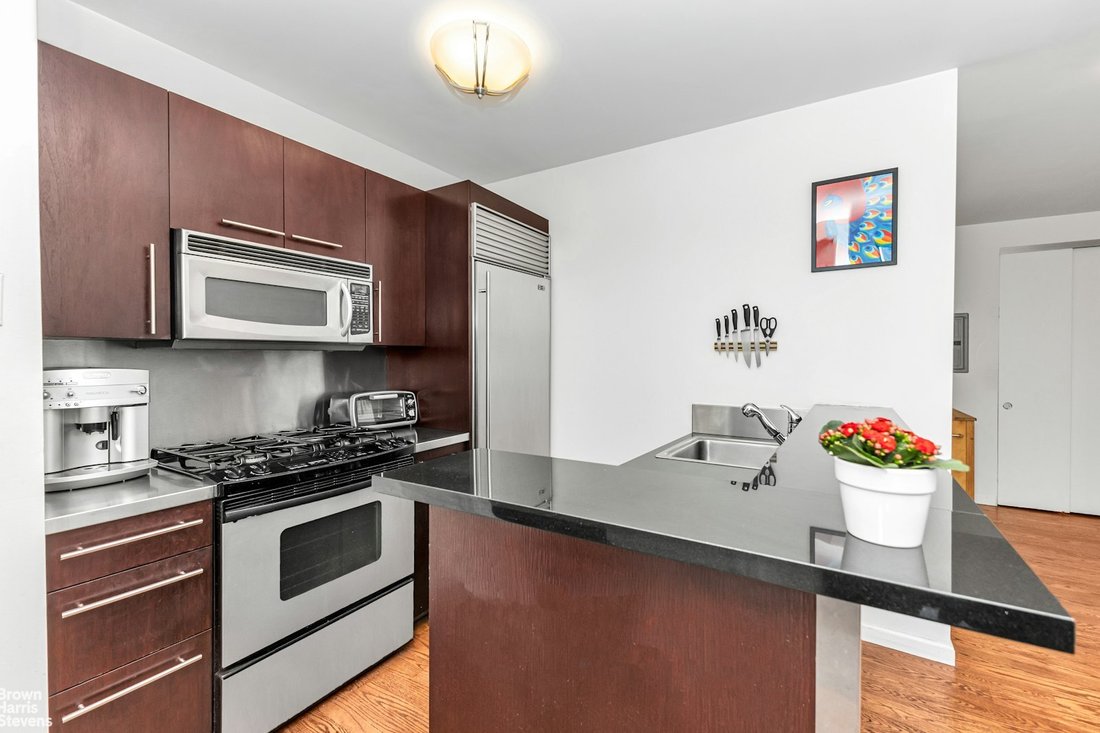 Condo in New York, New York, United States 5 - 16748371