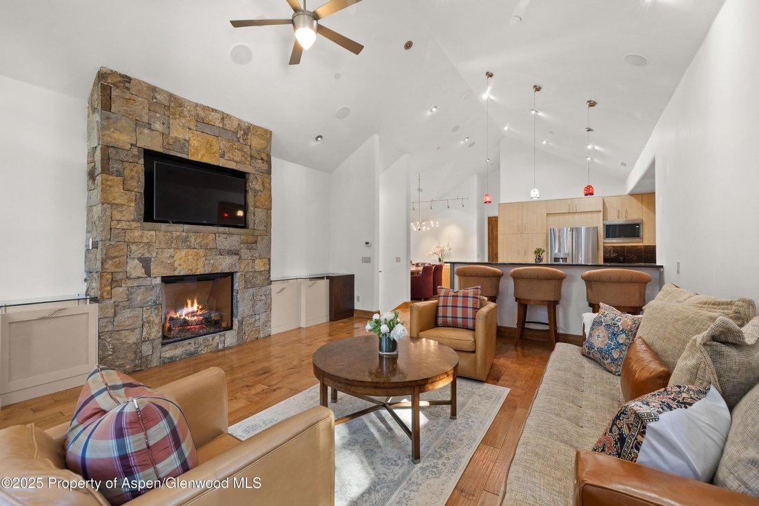 Apartment in Aspen, Colorado, United States 3 - 16747973