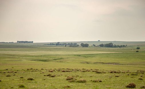 Azienda agricola a Heilbron, Free State, Sudafrica 1