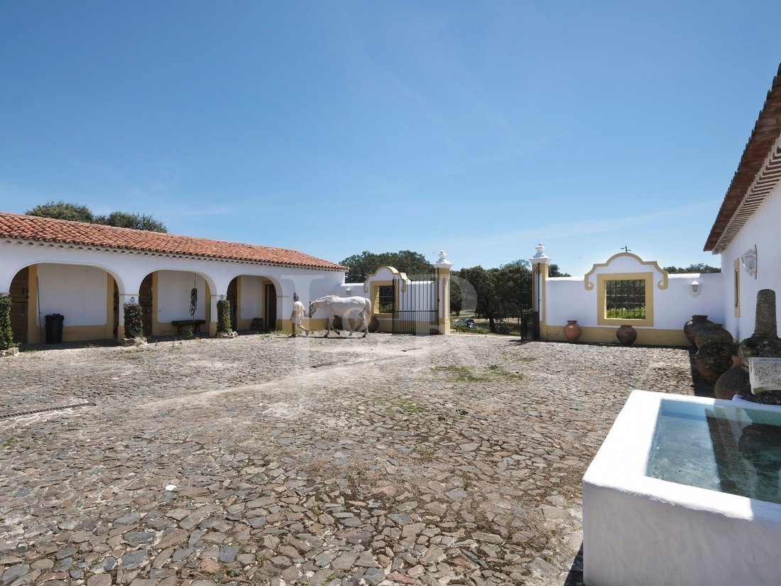 Finca in Sao Lourenco de Mamporcao e Sao Bento de Ana Loura, Évora District, Portugal 4 - 16742686