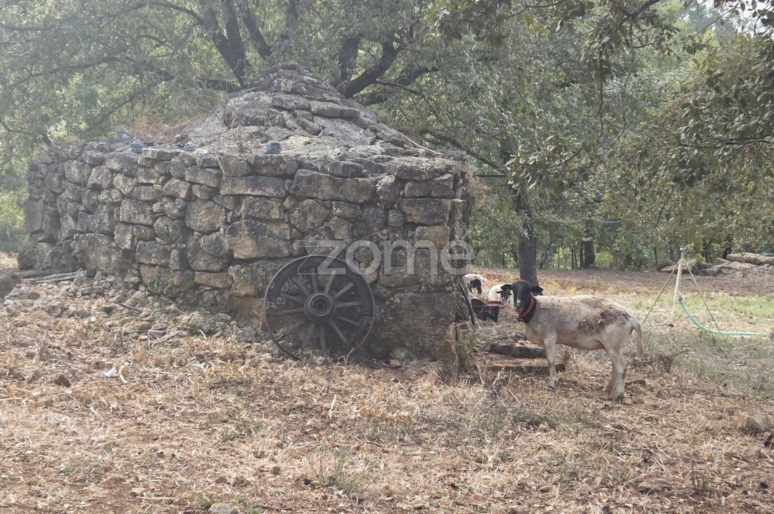 Land in Assafarge e Antanhol, Coimbra District, Portugal 5 - 16749852