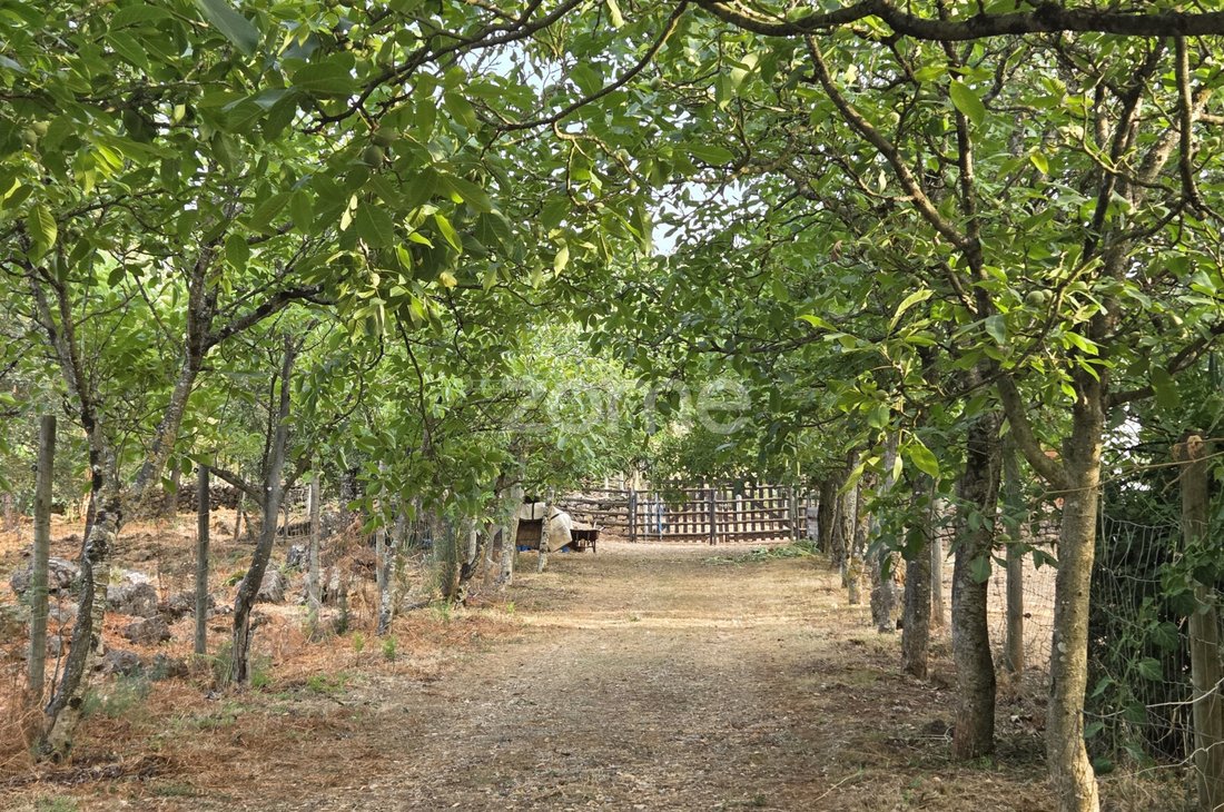 Land in Assafarge e Antanhol, Coimbra District, Portugal 2 - 16749852