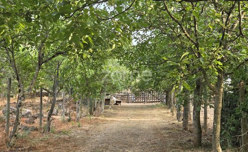 Terreno a Assafarge e Antanhol, Distretto di Coimbra, Portogallo 1