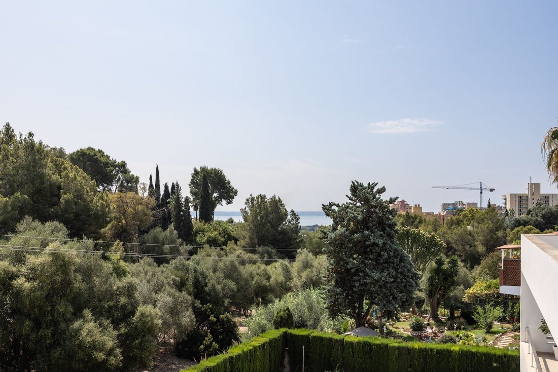 Apartment in Palma, Balearic Islands, Spain 2 - 16752050