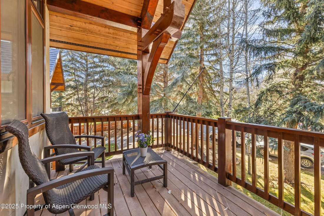 Apartment in Aspen, Colorado, United States 4 - 16747973
