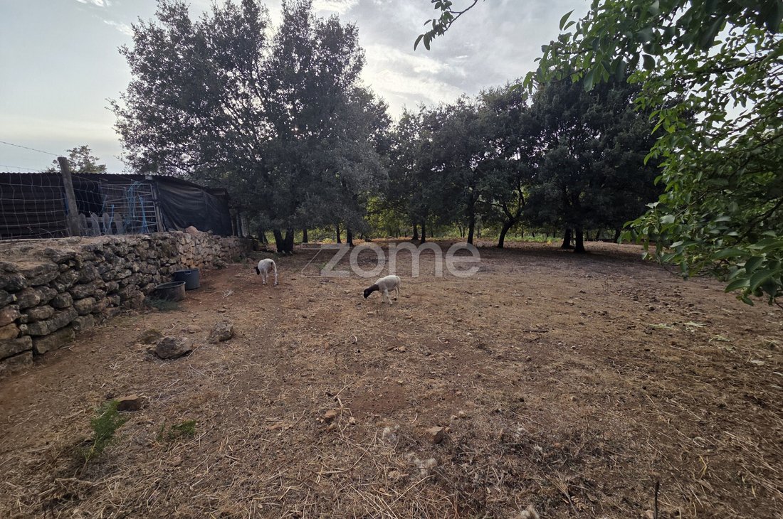 Land in Assafarge e Antanhol, Coimbra District, Portugal 3 - 16749852