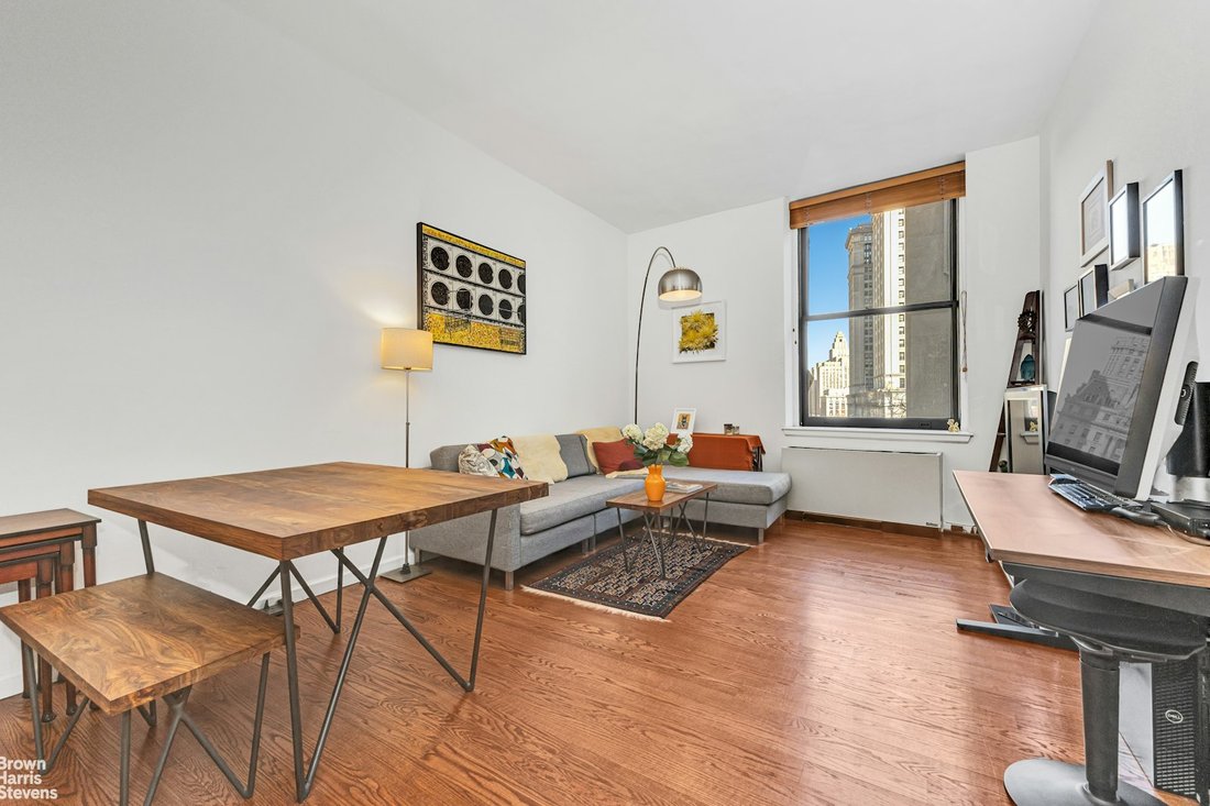Condo in New York, New York, United States 1 - 16748371